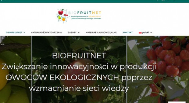 Jak zwiększyć konkurencyjność ekologicznej produkcji owoców w Polsce i UE?/ fot. materiały prasowe Jak wspomóc ogrodników w prowadzeniu ekologii?