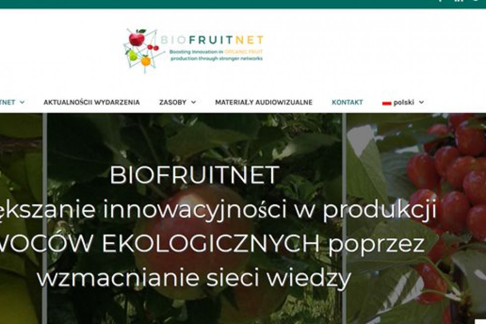 Jak zwiększyć konkurencyjność ekologicznej produkcji owoców w Polsce i UE?/ fot. materiały prasowe Jak wspomóc ogrodników w prowadzeniu ekologii?