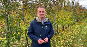 Ważne zabiegi po zbiorach jabłek. Porady i wskazówki (video)