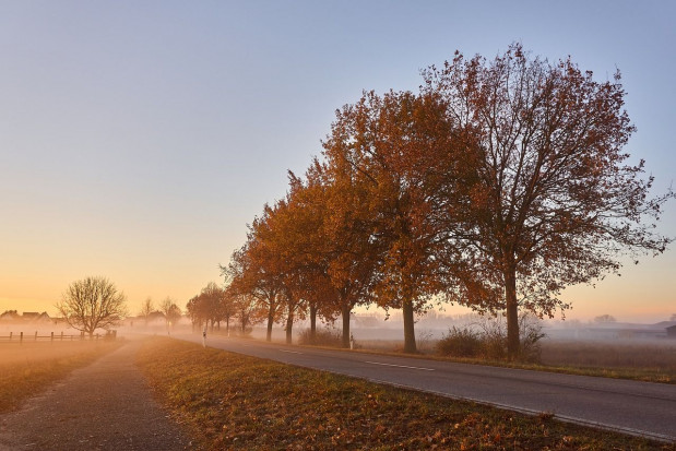 Środa będzie pogodna; nad ranem i w nocy mgły/ fot. pixabay IMGW: środa pogodna; nad ranem i w nocy mgły