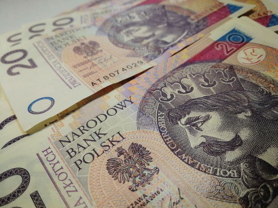 Ponad 241 tys. zł dla rolników, którzy ucierpieli w związku z ASF/ fot. pixabay Podkarpackie: Ponad 241 tys. zł dla rolników, którzy ucierpieli w związku z ASF
