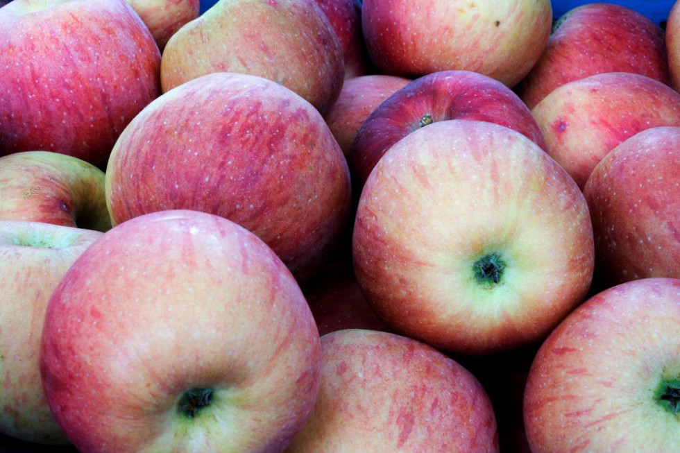Indie podwoiły import jabłek w sezonie 2020/21