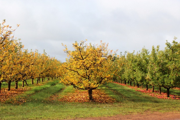 Na obszarze całego kraju raczej temperatura dodatnia, wyjątkiem będą Suwałki, gdzie temperatura może sięgnąć zera / fot. shutterstock We wtorek możliwe rozpogodzenia na południu i w centralnej części kraju