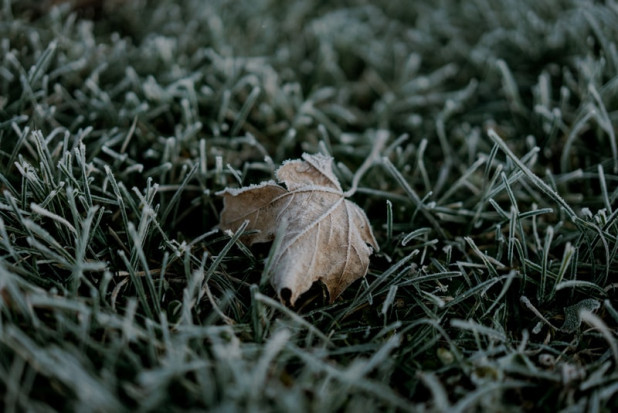 IMGW: We wtorek wieczorem przymrozki do -3 st. C/ fot.unsplash IMGW: We wtorek w nocy przymrozki do -3 st. C