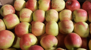 Mołdawia: Jak przebiega eksport jabłek do Indii ?