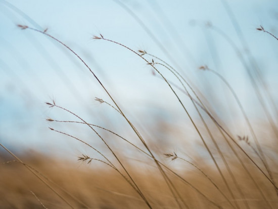 W środę z zachodu na wschód kraju przejdzie front atmosferyczny/ Fot. unsplash IMGW: W środę przejdzie chłodny front atmosferyczny