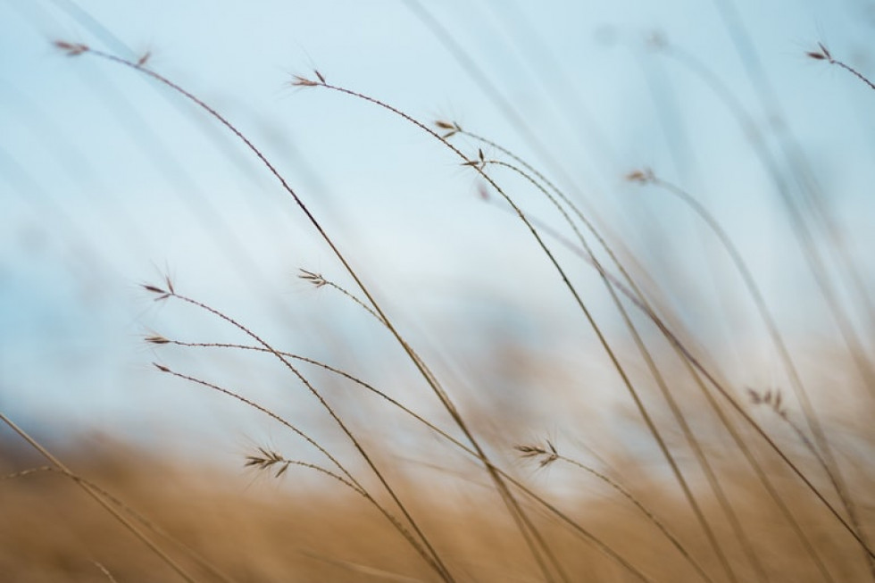 W środę z zachodu na wschód kraju przejdzie front atmosferyczny/ Fot. unsplash IMGW: W środę przejdzie chłodny front atmosferyczny