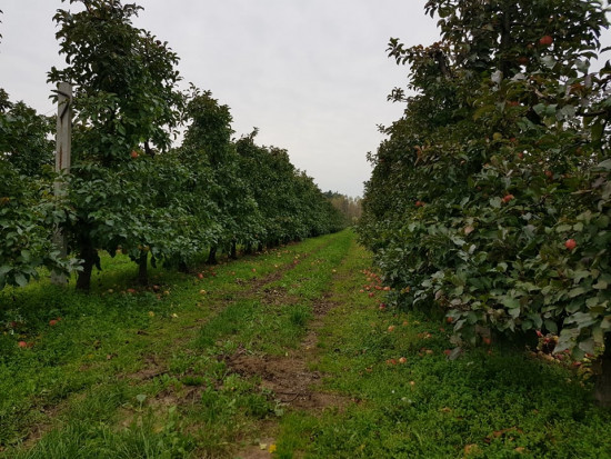 Pogoda: Piątek pochmurny, zimny i deszczowy/Fot. materiały własne Pogoda: Piątek 19.11 będzie pochmurny, zimny i deszczowy
