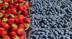 Holding spożywczy zacznie działać od najbliższego sezonu owoców miękkich