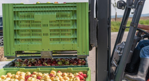 Ceny jabłek przemysłowych znów w górę. Skupy zapłacą 40 gr/kg?