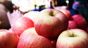 Egipt stał się głównym odbiorcą polskich jabłek