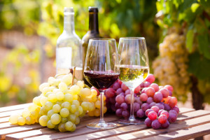 Rządowy projekt ustawy o wyrobach winiarskich do II czytania
