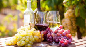 Rządowy projekt ustawy o wyrobach winiarskich do II czytania