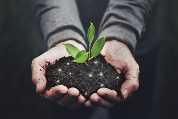 Wiele uwag wobec Planu Strategicznego dla WPR na lata 2023-2027 /fot. shutterstock.com Wiele uwag wobec Planu Strategicznego dla WPR na lata 2023-2027