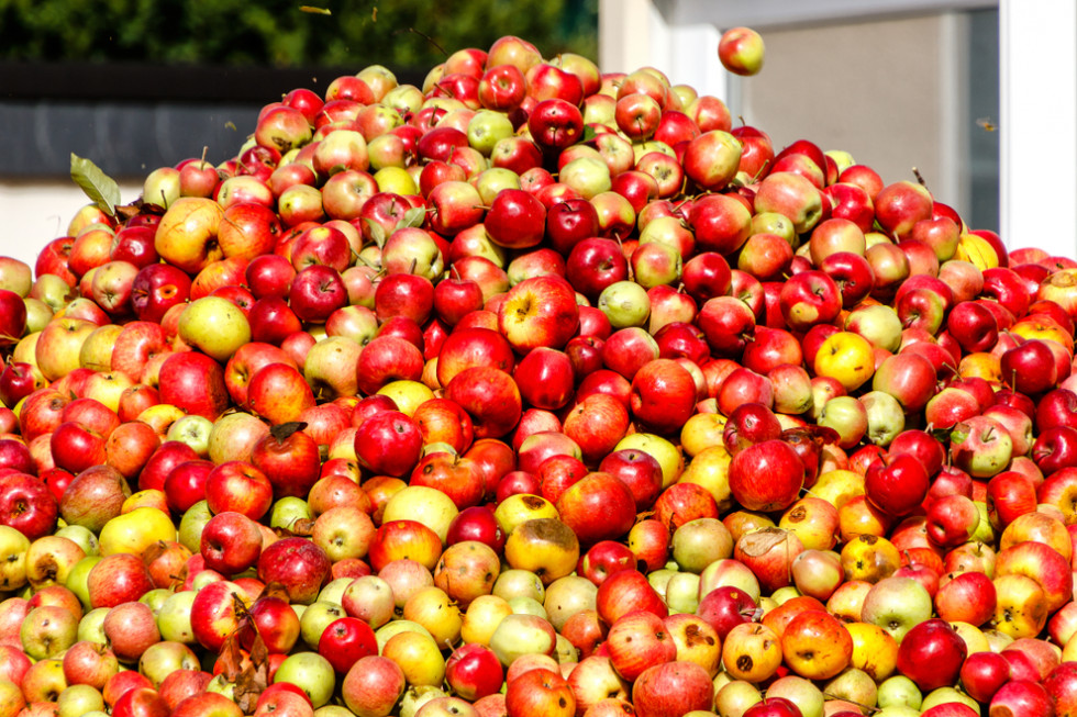 Kolejne podwyżki cen jabłek przemysłowych w skupach