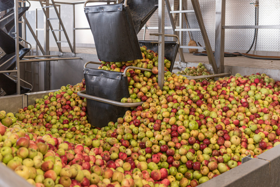 Zakład przetwórczy w Annopolu nie zapłacił kilkuset tysięcy złotych za jabłka