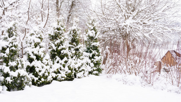 W najbliższy weekend spodziewamy się pierwszych w tym sezonie intensywnych opadów śniegu oraz deszczu ze śniegiem / fot. shutterstock W najbliższy weekend pierwsze w tym sezonie intensywne opady śniegu
