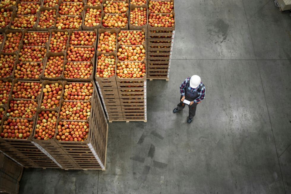 Rynek jabłek: Dobre perspektywy eksportu. Ceny wzrosną?