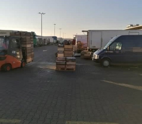 Ceny jabłek w hurcie: Lobo i cortland nadal najdroższe, Ligol powyżej 15 zł / Fot. materiały własne Ceny jabłek w hurcie: Lobo i Cortland nadal najdroższe, Ligol powyżej 15 zł