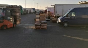 Ceny jabłek w hurcie: Lobo i Cortland nadal najdroższe, Ligol powyżej 15 zł
