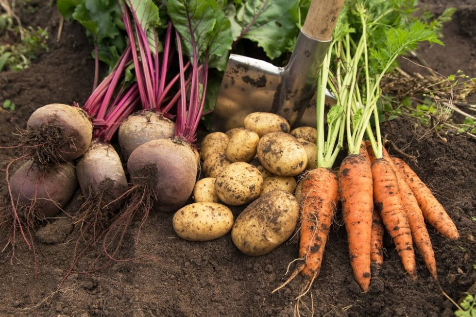 Przy zakupie żywności decyduje cena, ale za produkt eko jesteśmy w stanie dopłacić/ fot. shutterstock Konsument jest w stanie zapłacić więcej za eko żywność