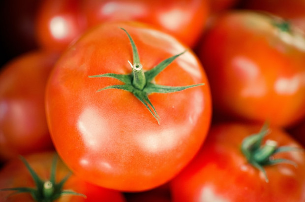 Pomidor ulubionym warzywem Polaków w listopadzie