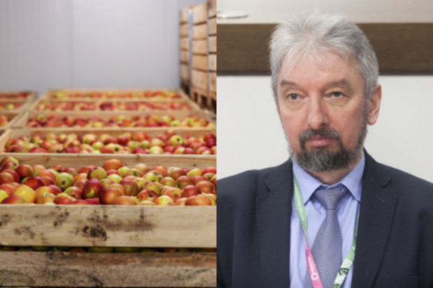 Przechowalnictwo jabłek - jak uniknąć przykrych niespodzianek?