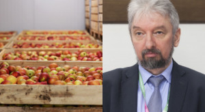 Przechowalnictwo jabłek - jak uniknąć przykrych niespodzianek?