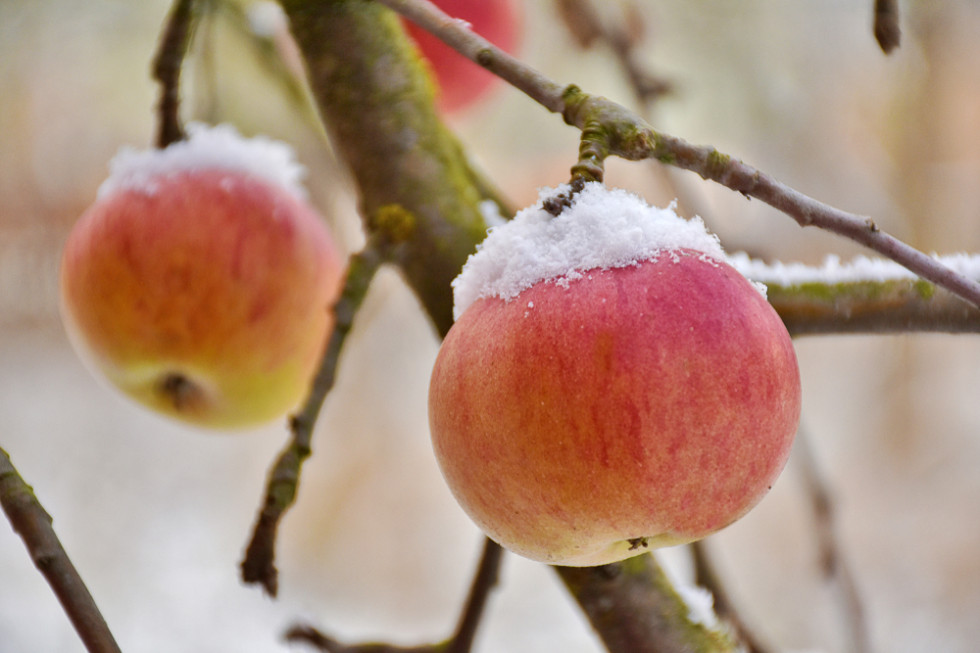 W środę temperatura od -2 do 7 st. C. Możliwe opady deszczu i śniegu/fot. shutterstock.com Pogoda: W środę zachmurzenie duże z opadami deszczu i śniegu