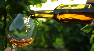 Poprawki do ustawy o wyrobach winiarskich. Projekt wraca do komisji