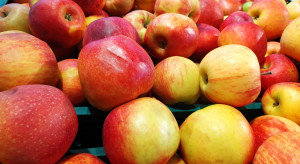 Mołdawskie jabłka podbijają kolejne rynki