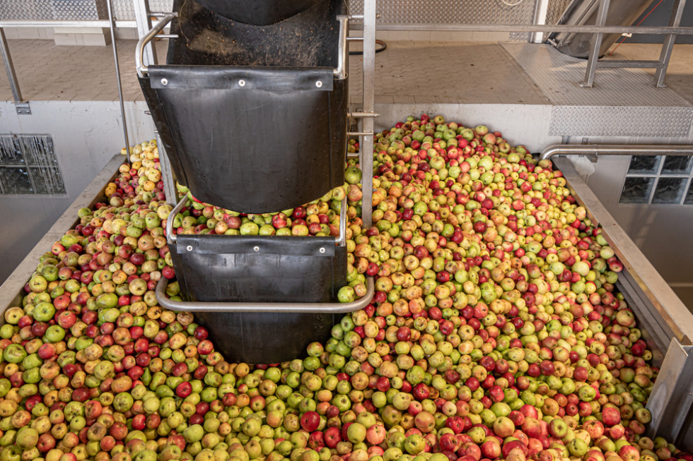 Ceny jabłek przemysłowych wzrosły o kolejnych kilka groszy