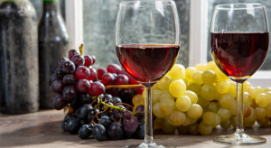 Sejm uchwalił ustawę o wyrobach winiarskich