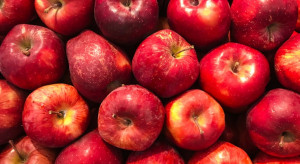 Skąd się biorą niskie ceny jabłek i jak to zmienić?