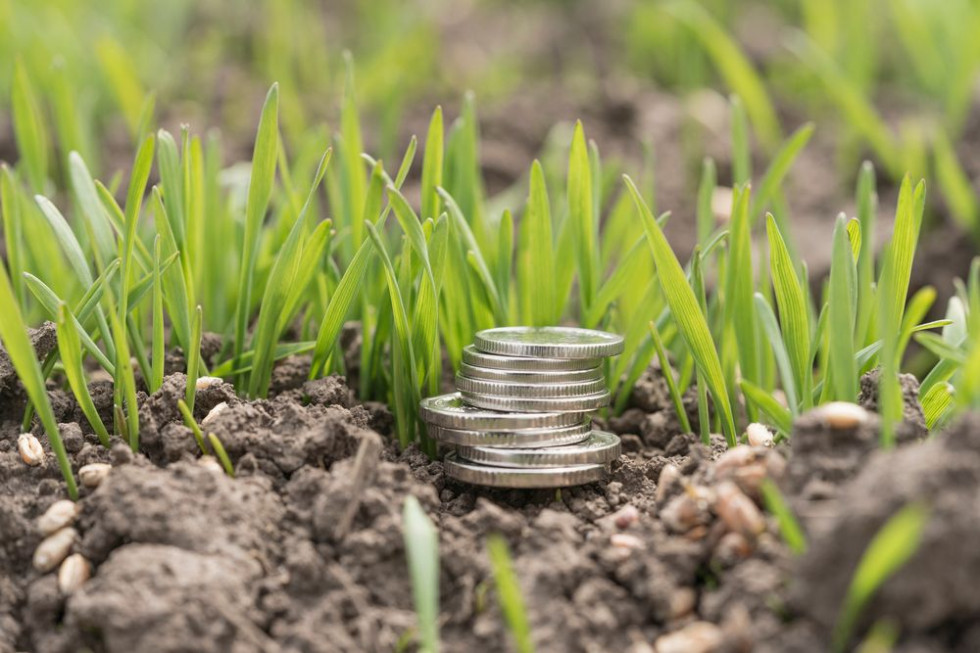 Rozpoczęła się wypłata płatności końcowych w ramach dopłat/ fot. shutterstock Dopłaty 2021: Trwa wypłata płatności końcowych