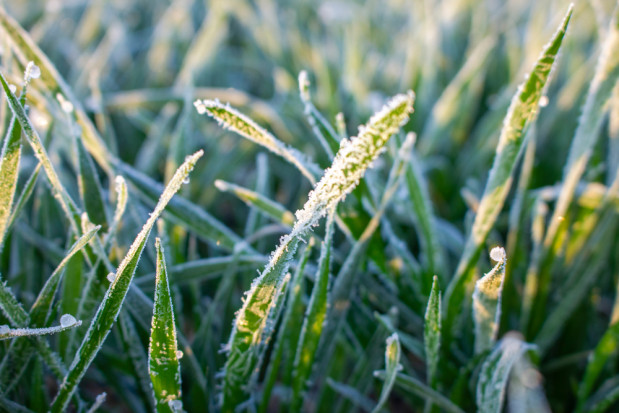 We wtorek w ciągu dnia na północy kraju powinno być słonecznie. W Karpatach może spaść od 2 do 3 cm śniegu. / fot. shutterstock We wtorek słonecznie na północy, najchłodniej na północnym wschodzie