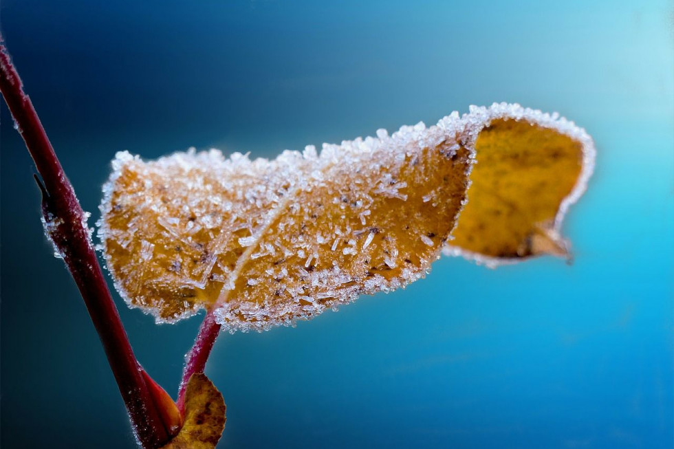 IMGW wydał ostrzeżenia pierwszego stopnia przed silnym mrozem/ fot. pixabay Nawet -15 st. mrozu. IMGW ostrzega!