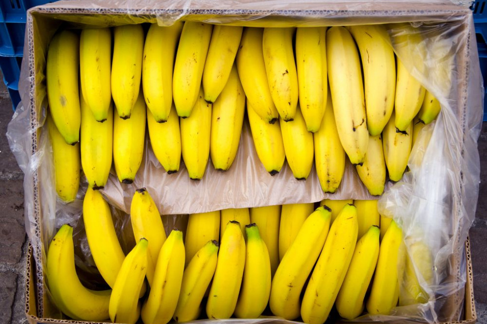 Holandia: Celnicy przechwycili 70 kg kokainy w kontenerach z bananami i awokado
