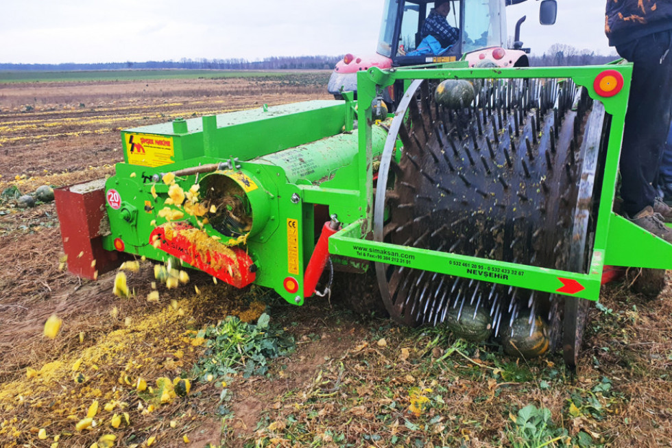 Zbiór pestek dyni już dawno został zmechanizowany/ fot. farmer.pl Zmechanizowany zbiór pestek dyni