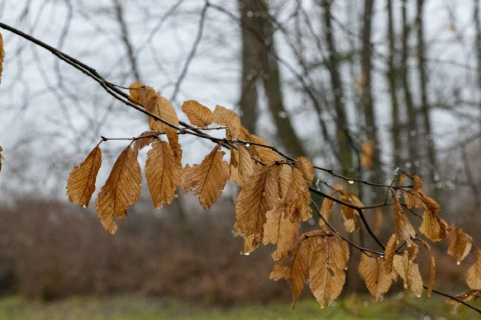 Przez cały dzień niedziela będzie pochmurna na przeważającym obszarze kraju/ fot.pixabay.com Pogoda: niedziela chłodna i pochmurna