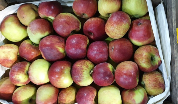 50 proc. obniżka cen jabłek na Broniszach. Drogie warzywa