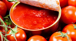 Jakość handlowa przetworów pomidorowych - jakie nieprawidłowości?