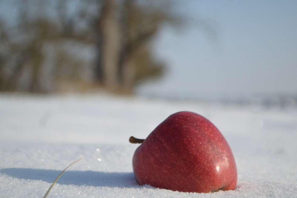 Środa będzie pogodna/ fot. pixabay IMGW: środa dość pogodna i słoneczna