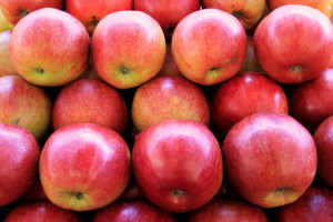 Appolonia dobrze ocenia 2021 r. Chce zwiększyć sprzedaż jabłek do Azji