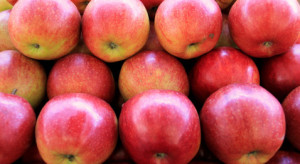 Appolonia dobrze ocenia 2021 r. Chce zwiększyć sprzedaż jabłek do Azji