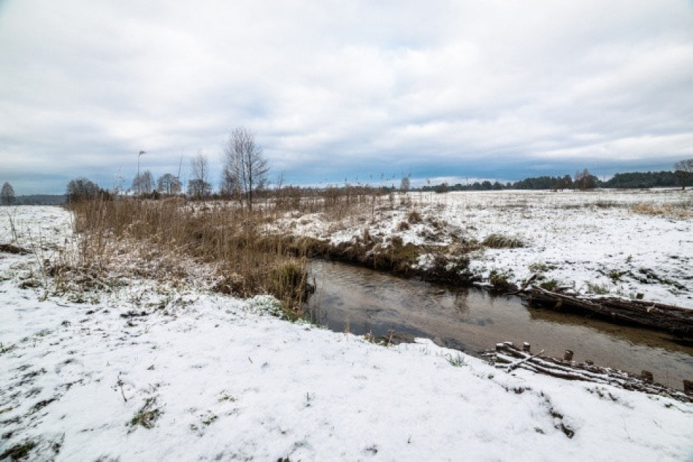 Idzie odwilż/ Fot.shutterstock.com Prognoza pogody: w środę odwilż
