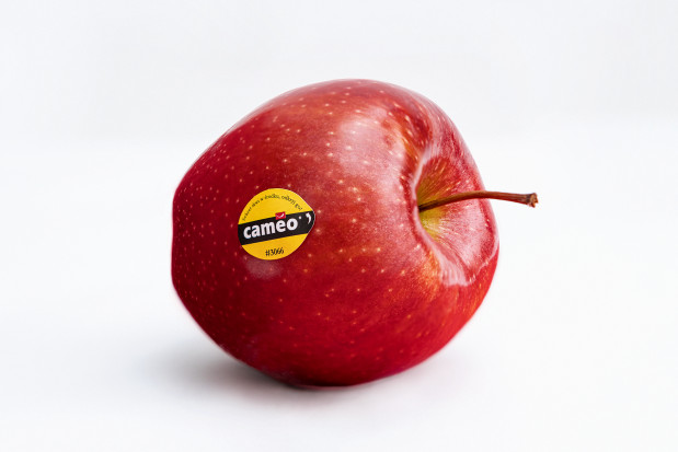 CAMEO® - jabłko klubowe debiutuje na polskim rynku