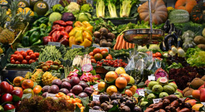 Maroko głównym dostawcą owoców i warzyw na rynek hiszpański