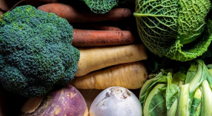 Będą dalsze wzrosty cen warzyw? (analiza)