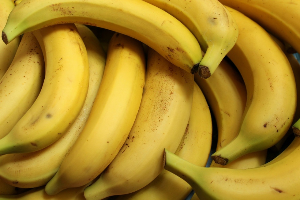We Włoszech uprawia się coraz więcej bananów, mango i awokado